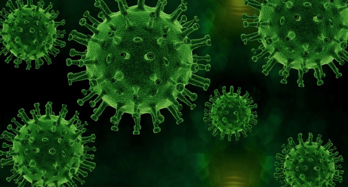 São Paulo confirma transmissão comunitária da variante Ômicron 