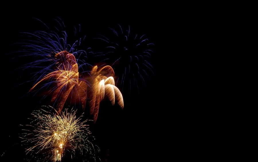 Entenda por que fogos de artifício assustam cachorros e gatos