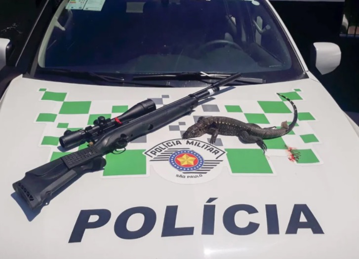 Mulher é presa por matar lagarto a tiros; Entenda