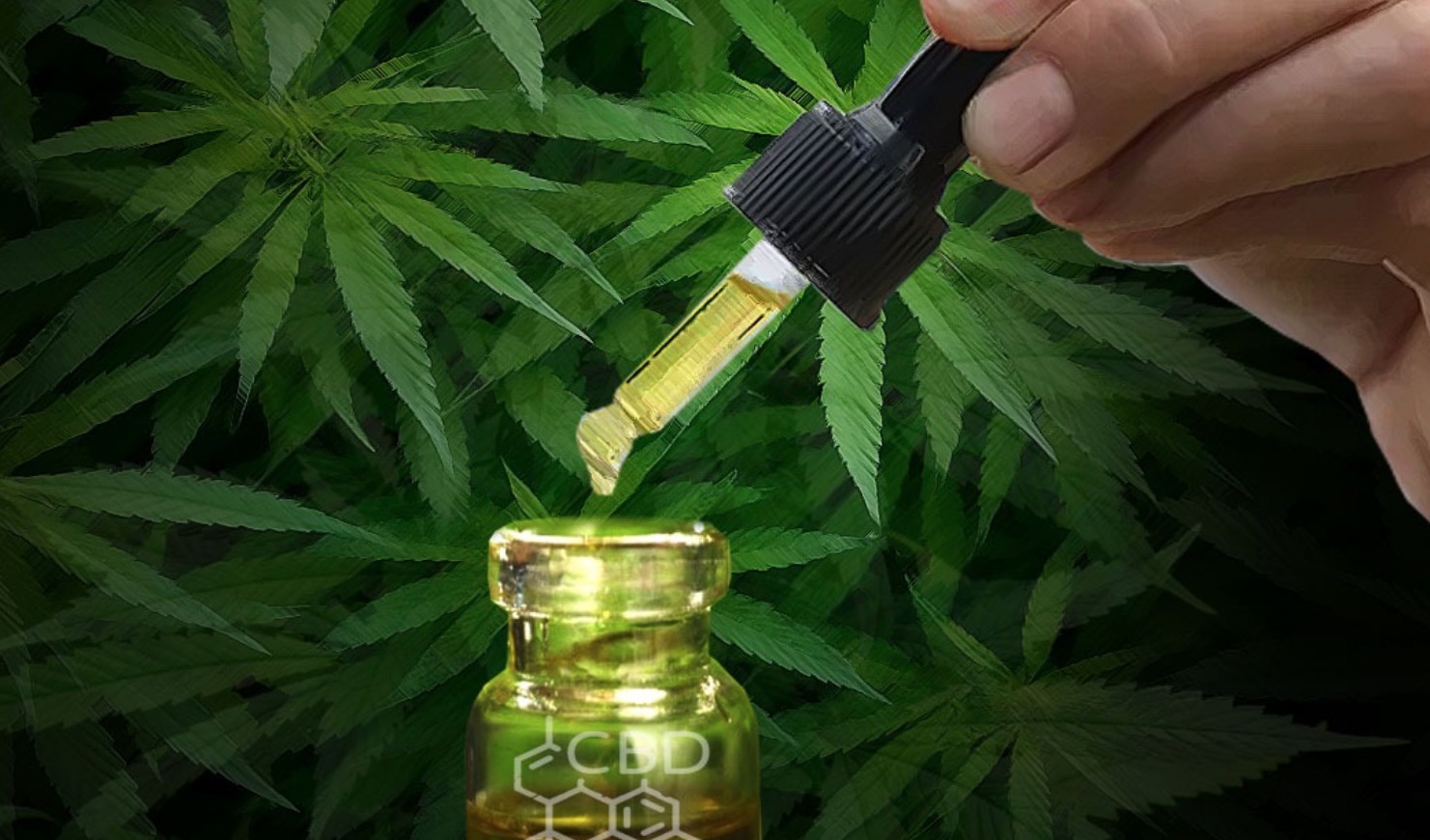 Justiça autoriza paciente a entrar no Brasil com 300g de maconha