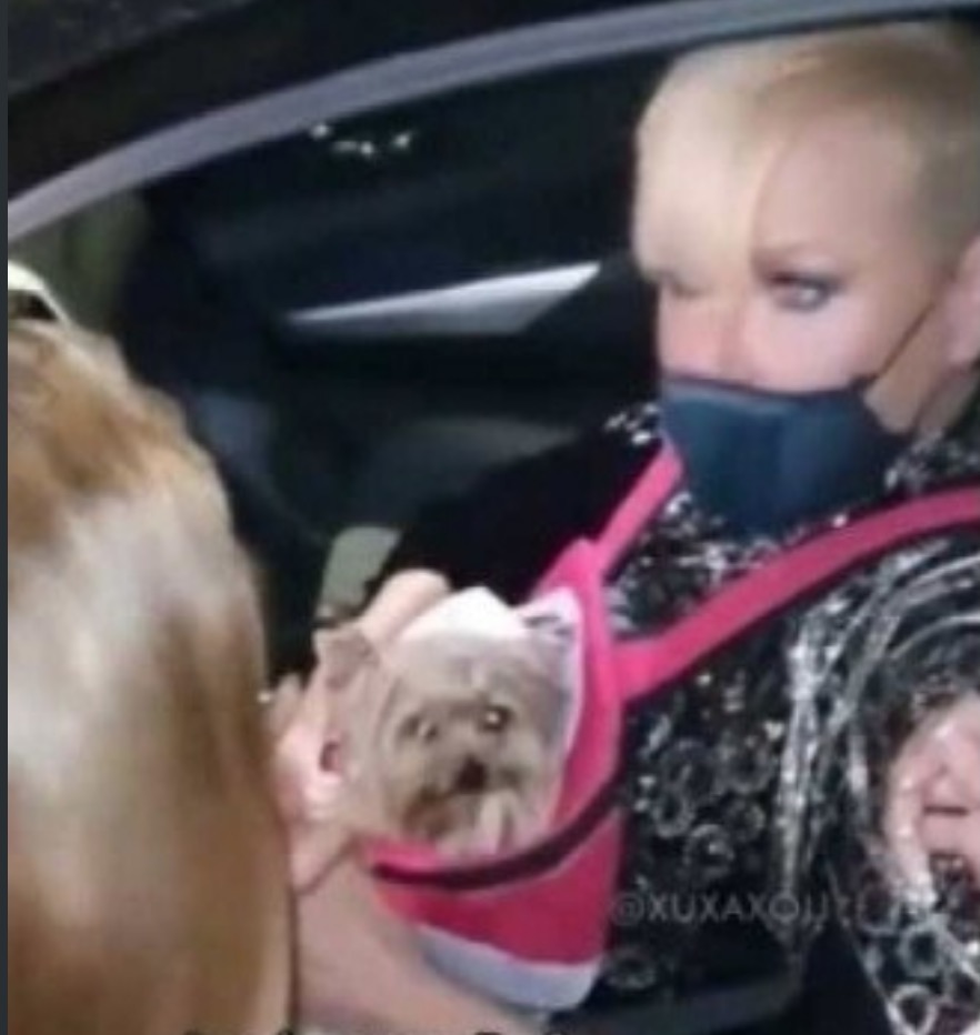 Xuxa recusa foto com fã e solta o verbo: ‘Você não é bolsominion?’