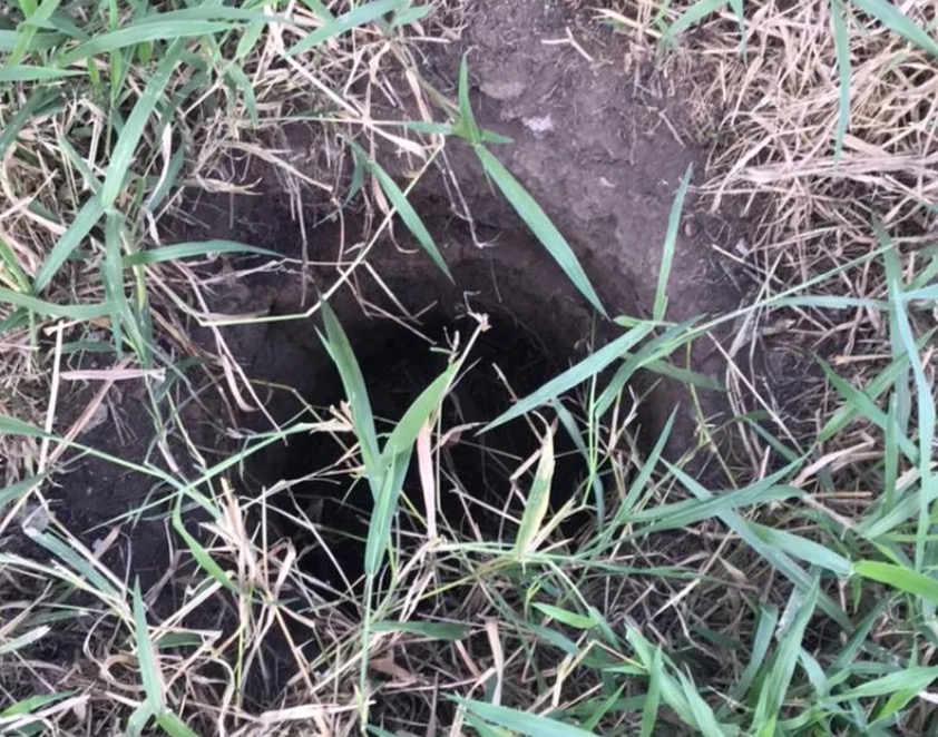 Bebê é encontrado vivo depois de passar dois dias dentro de buraco 