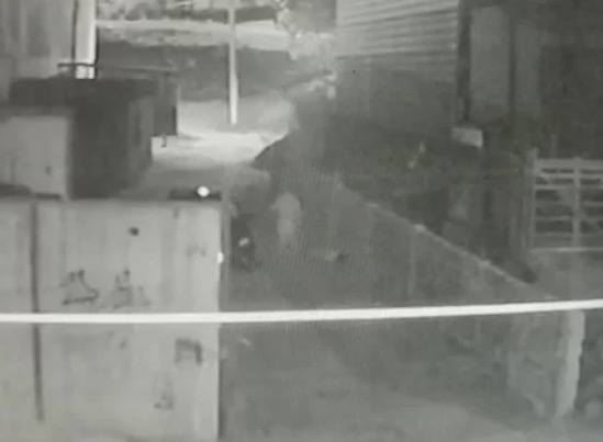 Mulher morre após ser espancada e atropelada duas vezes em Belo Horizonte 