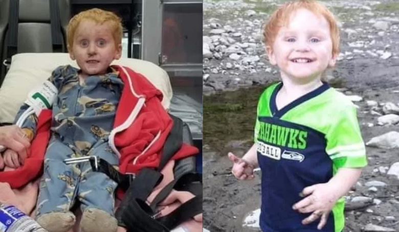 Menino 4 anos é resgatado com vida após passar 2 dias perdido em floresta 