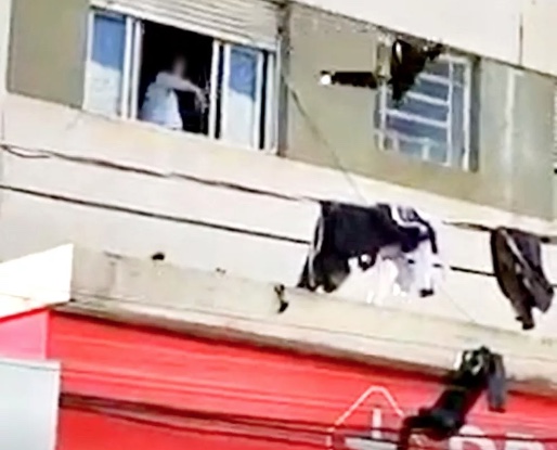 Mulher joga roupas do marido na fiação elétrica durante briga de casal