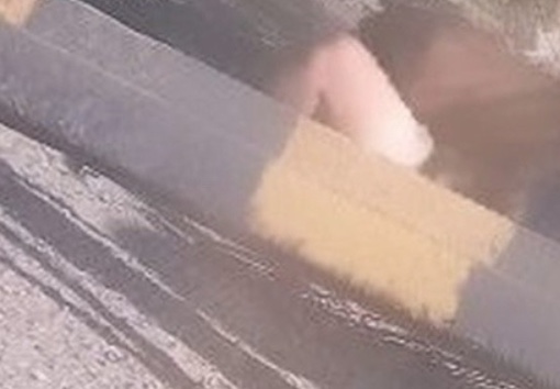 Casal é flagrado fazendo sexo no meio da rua em plena luz do dia