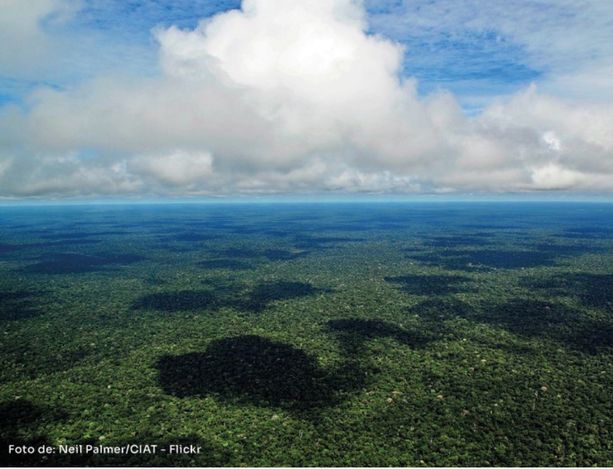 Amazônia precisa de segurança e não de pânico