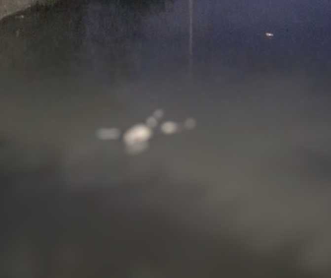 Populares se assustam ao ver corpo sendo levado por correnteza em Manaus