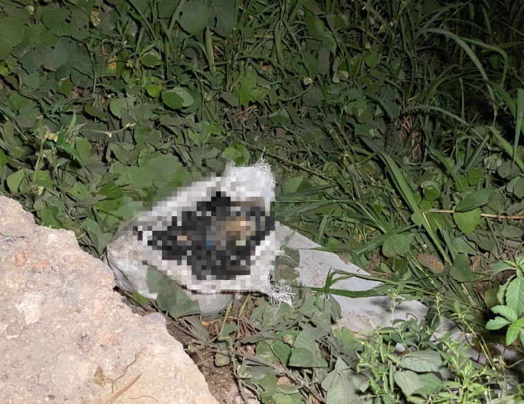 Corpo esquartejado é encontrado em área próxima de lixão em Manaus