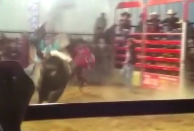 Vídeo: Peão morre pisoteado ao cair de touro em rodeio