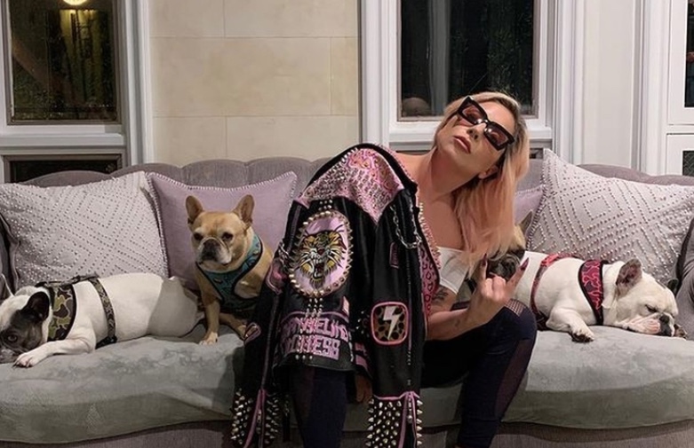 Sequestrador de cães de Lady Gaga pega 4 anos de prisão 