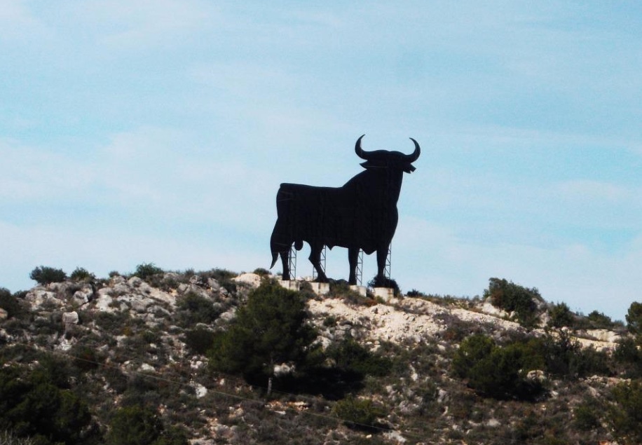 Idosa de 73 anos morre após levar chifrada no peito durante tourada