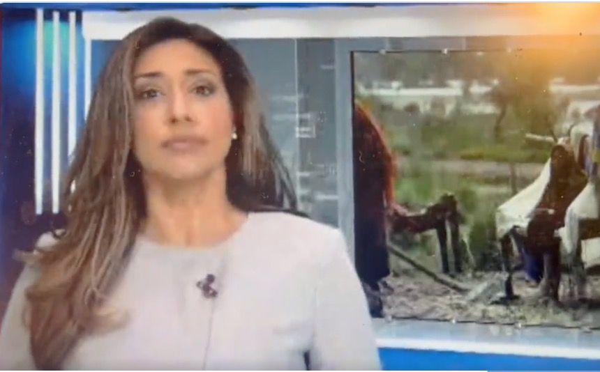 Apresentadora engole mosca ao vivo durante telejornal e continua notícia 