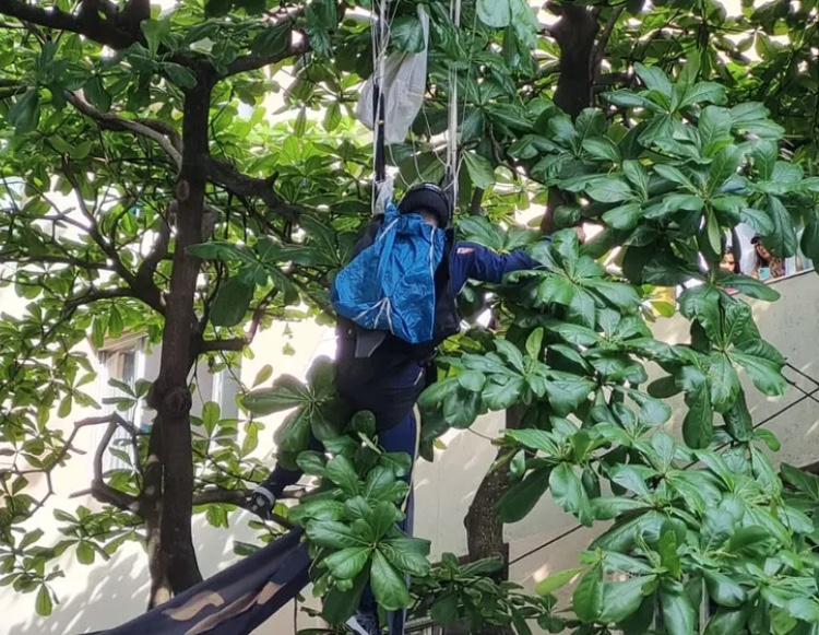 Paraquedistas despencam sobre árvores após acidente