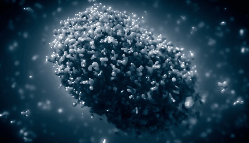 Amazonas tem 39 casos suspeitos de varíola dos macacos