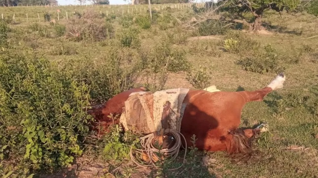Trabalhador e cavalo morrem após serem atingidos por raio