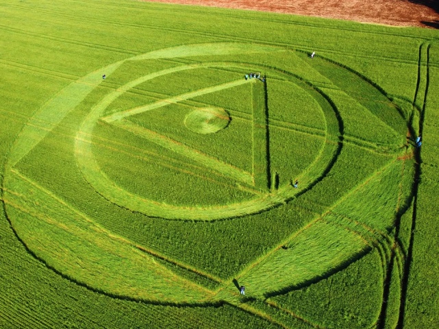 Plantação de trigo amanhece com figura misteriosa no Sul do Brasil