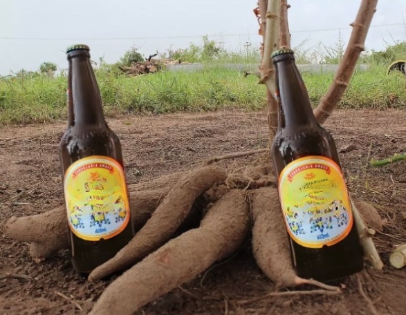 STF invalida lei que reduziu ICMS para cerveja à base de mandioca