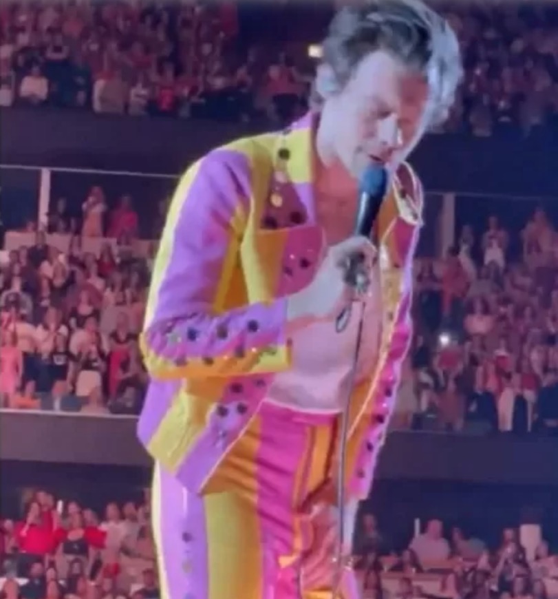 Harry Styles é atingido com garrafada em parte íntima e geme durante show