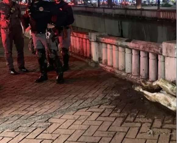 Bombeiros têm surpresa ao chegar para resgatar corpo de homem em córrego