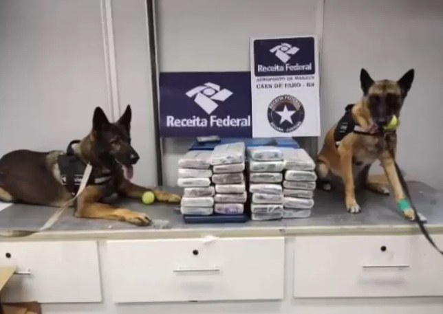 Carga de castanha-do-pará com 25 kg de drogas é apreendida em Manaus