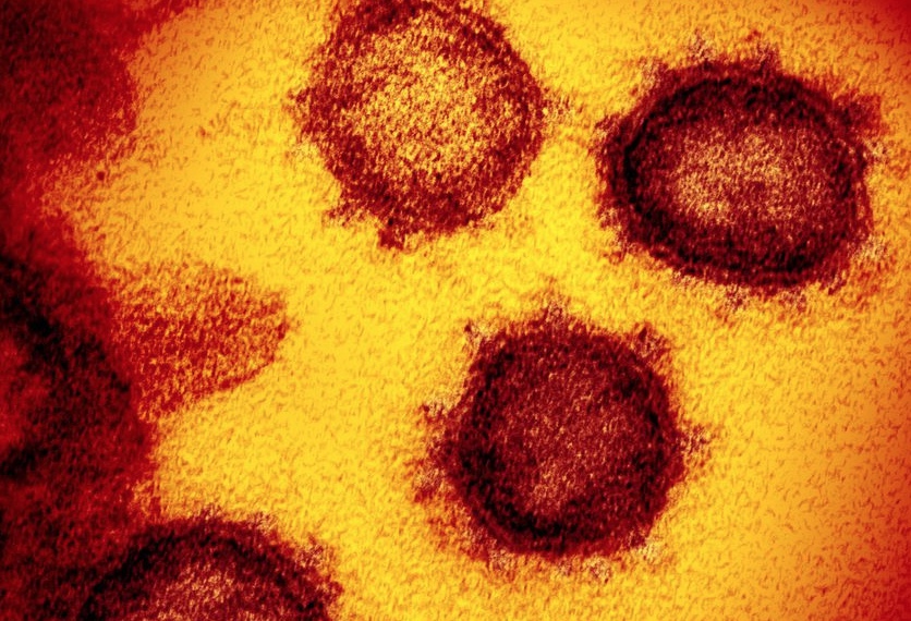 Identificadas duas linhagens novas do coronavírus no Brasil