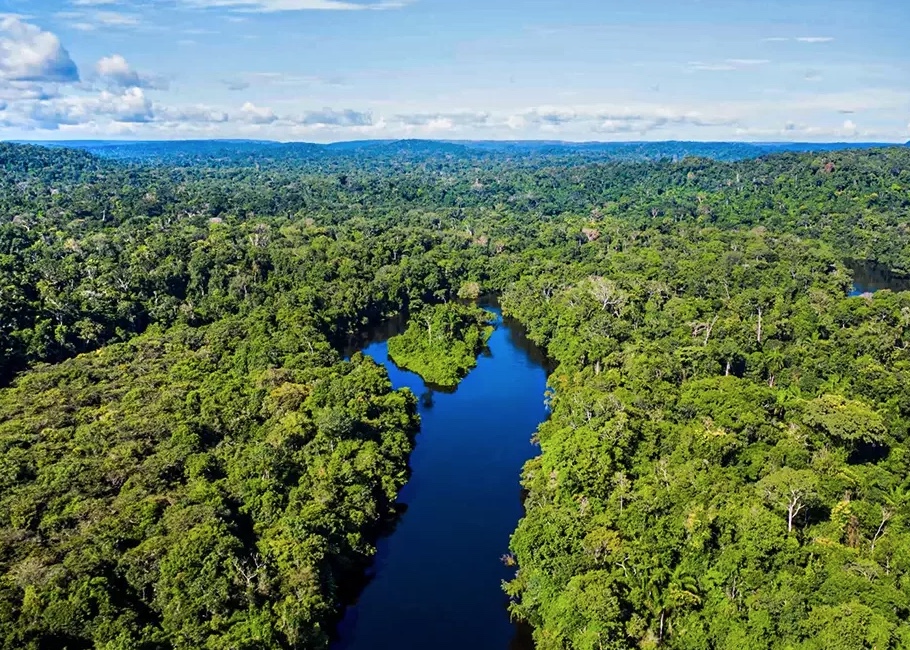 Fundo Amazônia poderá ter novos doadores internacionais na gestão Lula
