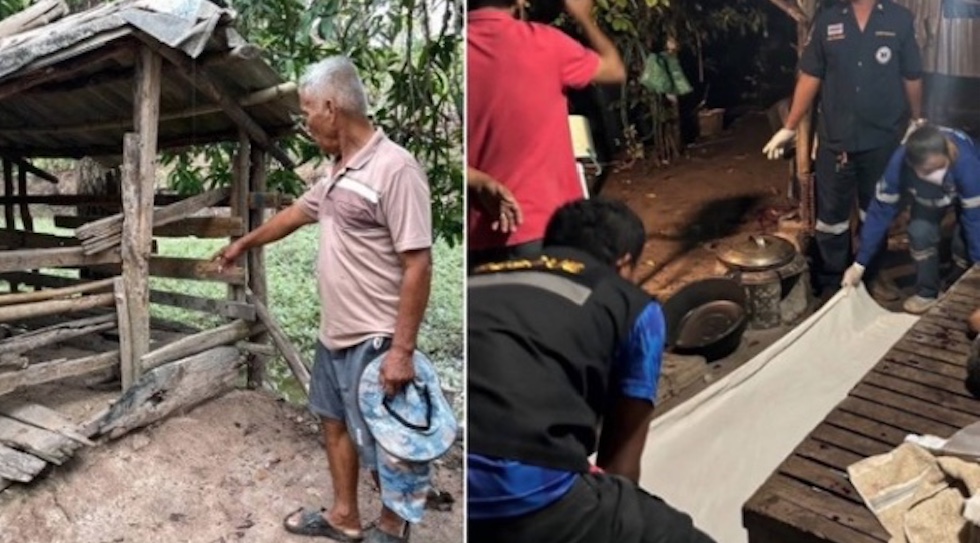 Javali de 120 quilos mata idoso que o criava para não se sentir só