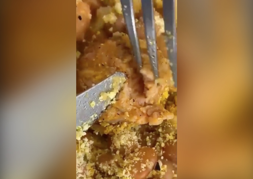 Estudantes encontram tapuru em comida da Ufam; vídeo