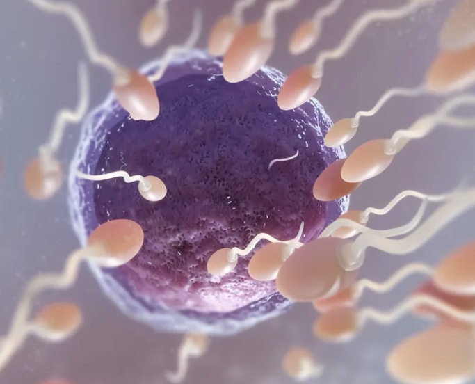 Gel vaginal em teste se mostra eficaz como método contraceptivo