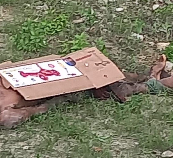 Criminosos matam homem e jogam corpo na garagem de desconhecido em Manaus