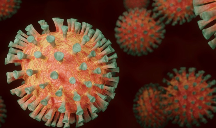 Covid: relatório da Câmara recomenda reforço da indústria para a saúde