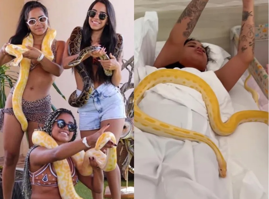 Mirella acorda MC Loma com cobra na cama e é criticada; vídeo