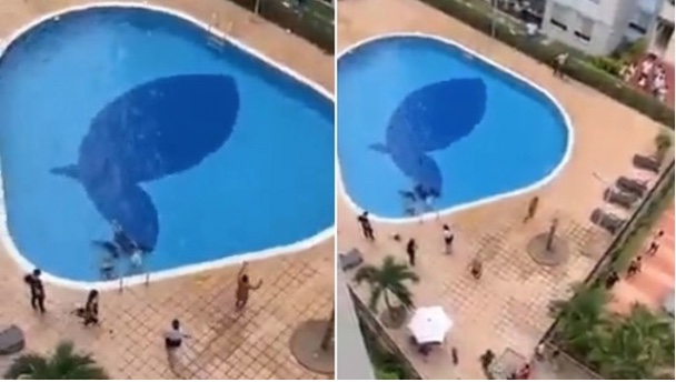 Vídeo: Quatro pessoas desmaiam em piscina ao receberem descarga elétrica