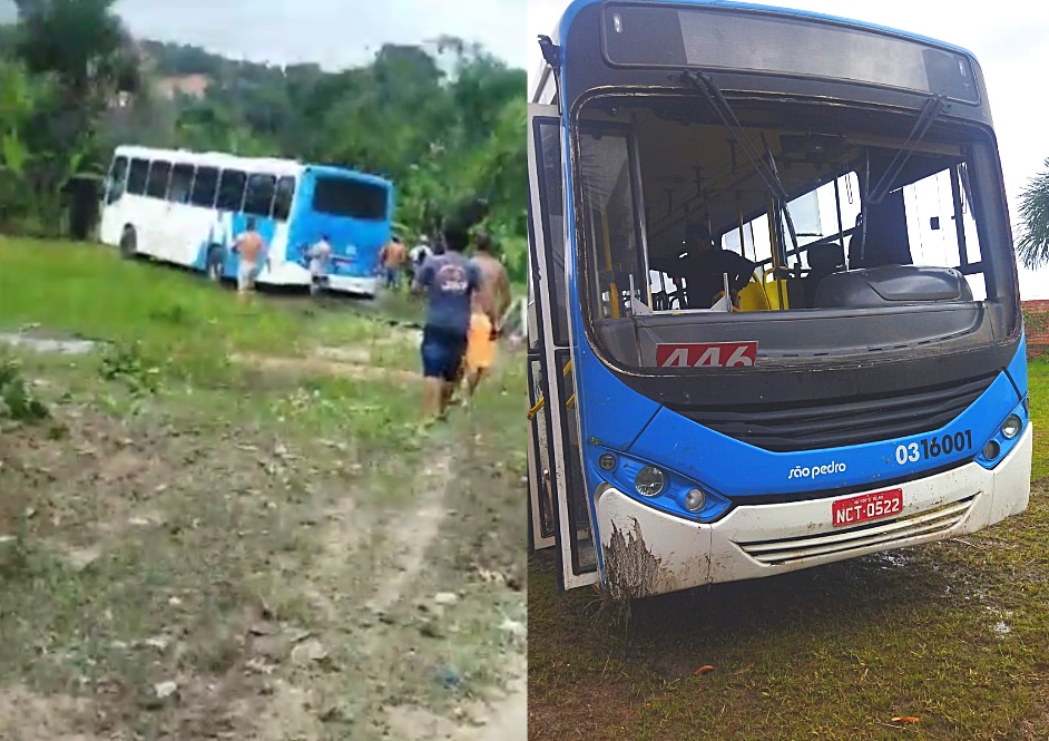 Desgovernado, ônibus 446 invade sítio e assusta moradores em Manaus; vídeos