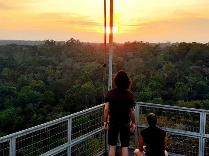 Let’s go turistar, no Museu da Amazônia?