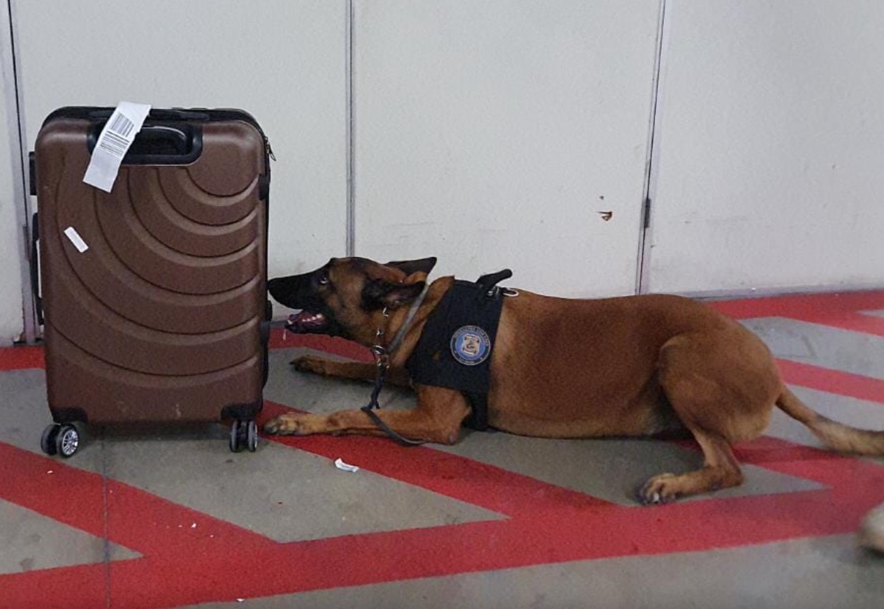 Homem é preso pela PF tentando embarcar com drogas em mala no aeroporto de Manaus