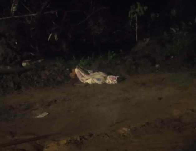 Enrolado em lençol, corpo é encontrado em ramal no Amazonas