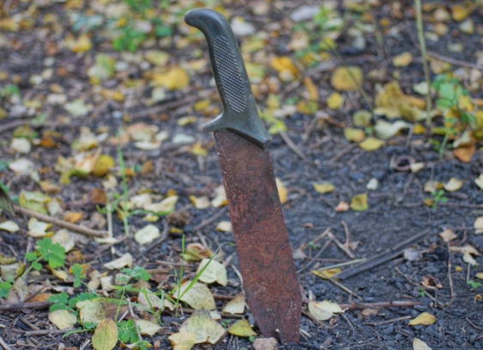 Ladrão furta espingarda e é castigado a terçadadas no Amazonas