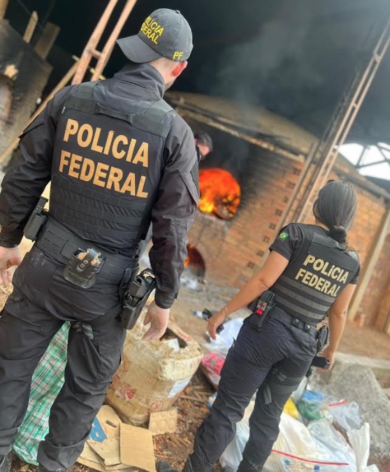 PF incinera meia tonelada de drogas no Amazonas