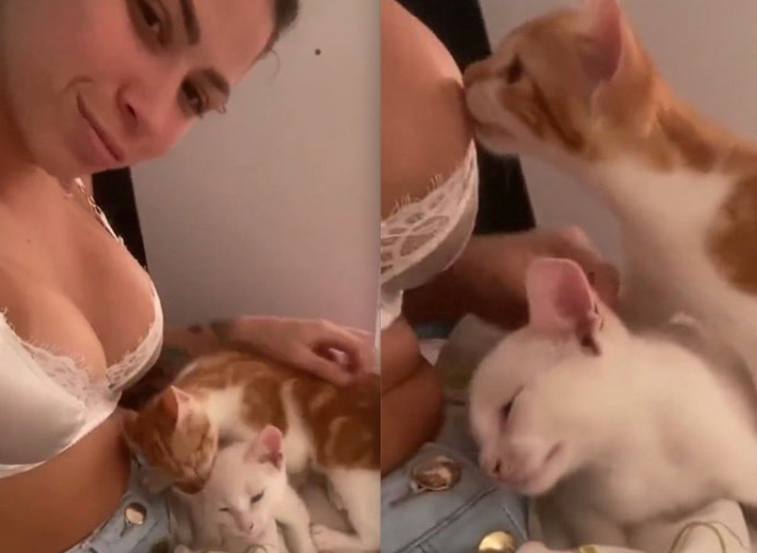 MC Pipokinha posta vídeo com gato lambendo seio e é acusada de zoofilia