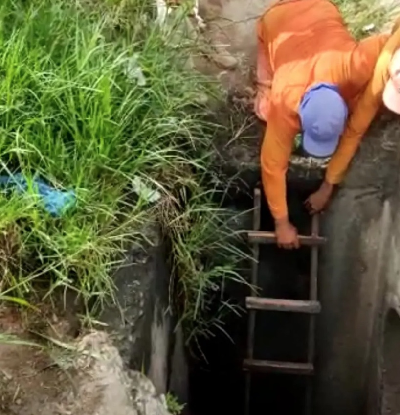 Vídeo: Idoso desaparecido há oito dias é achado vivo dentro de bueiro
