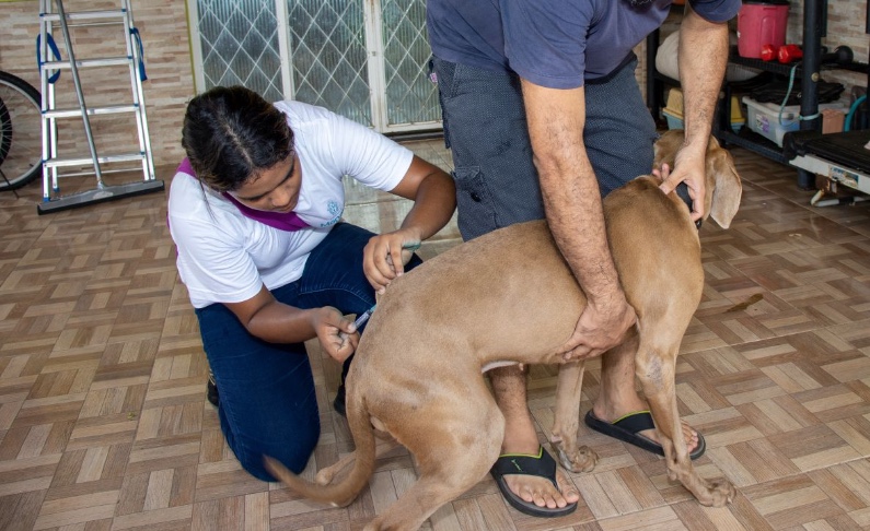 Vacinação antirrábica animal prossegue neste sábado em Manaus