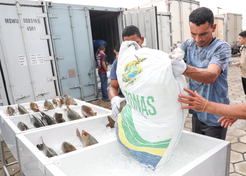 Feirão do Pescado inicia hoje em três pontos de Manaus; confira preços