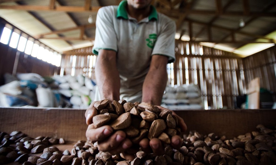 Produtores do Purus e Madeira lançam mapa sobre produção agrícola no Amazonas