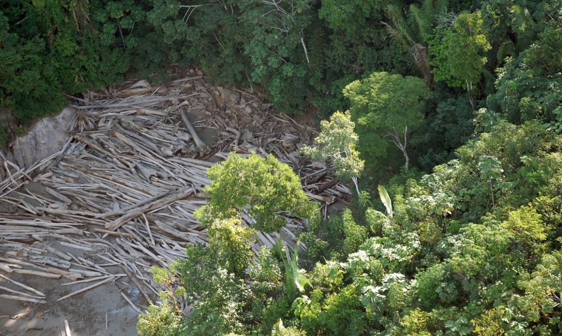 Em 3 meses, desmatamento aumenta 219% na Amazônia, aponta INPE