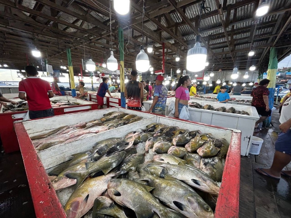 Fiscalizações de vendas de peixes em feiras de Manaus seguem até domingo
