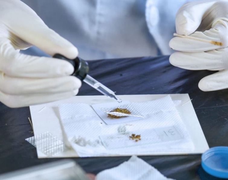 Exame pioneiro detecta parasitas intestinais em apenas 5 minutos; veja