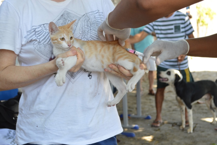 Evento oferece vacinação antirrábica gratuita para cães e gatos em Manaus