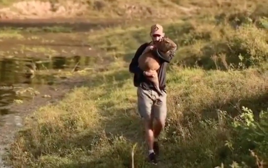 Ibama se pronuncia após capivara Filó ser entregue por Agenor